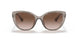 824013 - Brown - Gradient Brown