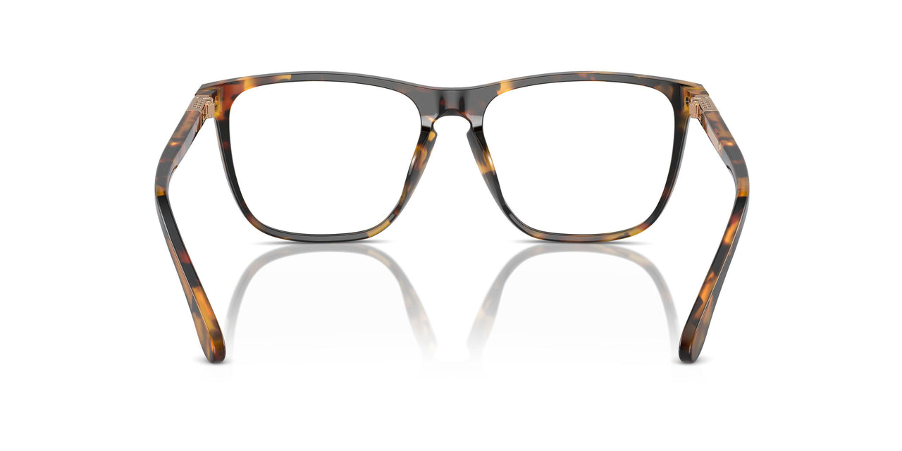 5134 - Tortoise