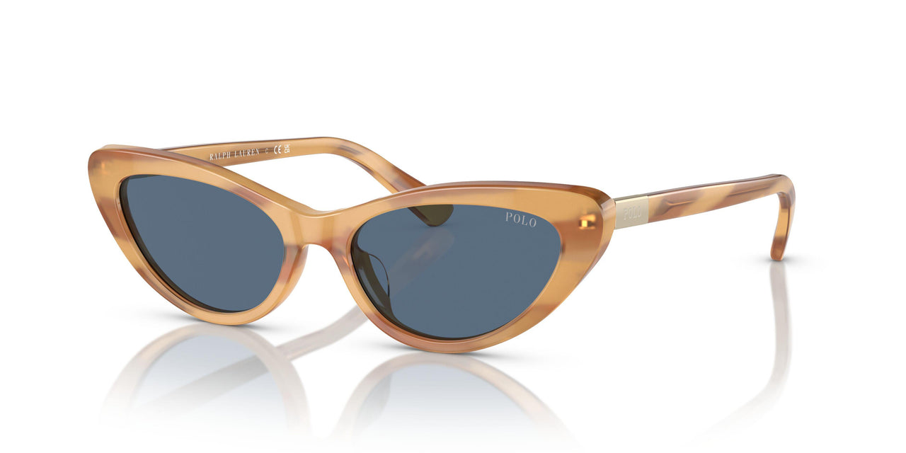 607980 - Brown - Blue