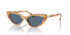 607980 - Brown - Blue