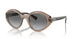 294011 - Brown - Gradient Dark Grey