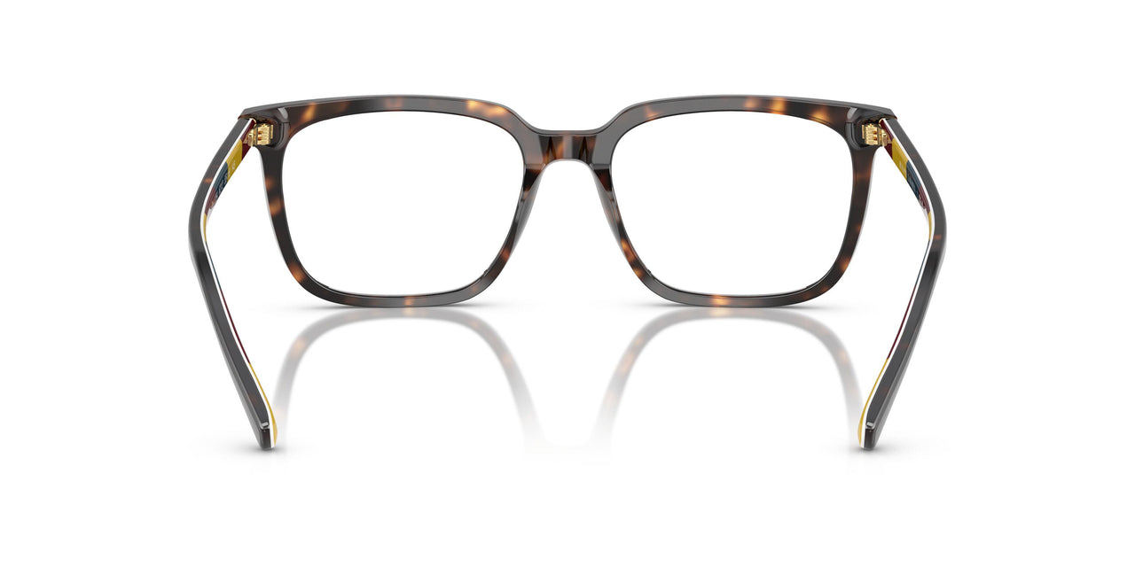 6212 - Tortoise