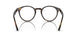 710/M1 - Havana - Photo Clear To Grey/green Quar