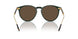 614053 - Green - Brown