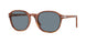 96/56 - Brown - Light Blue