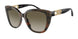 Emporio Armani 4214U Sunglasses