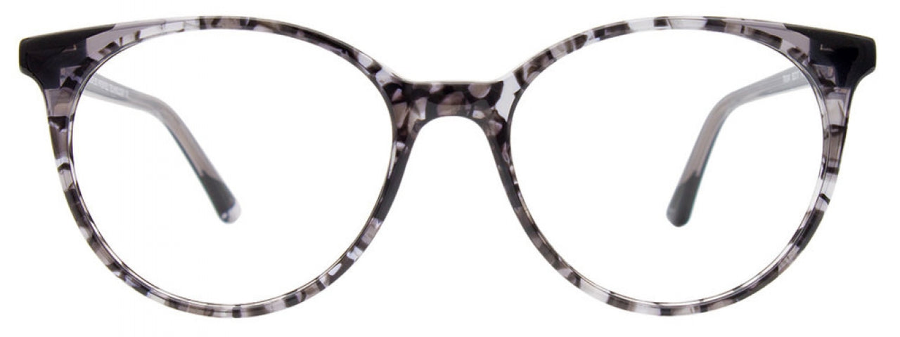90 - Black Tortoise & Black