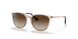 710813 - Light Brown - Gradient Brown