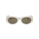 21E - Shiny White - Brown