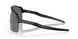 946305 - Black - Prizm Black