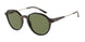 50262A - Havana - Green