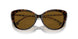 385483 - Brown - Brown Polar