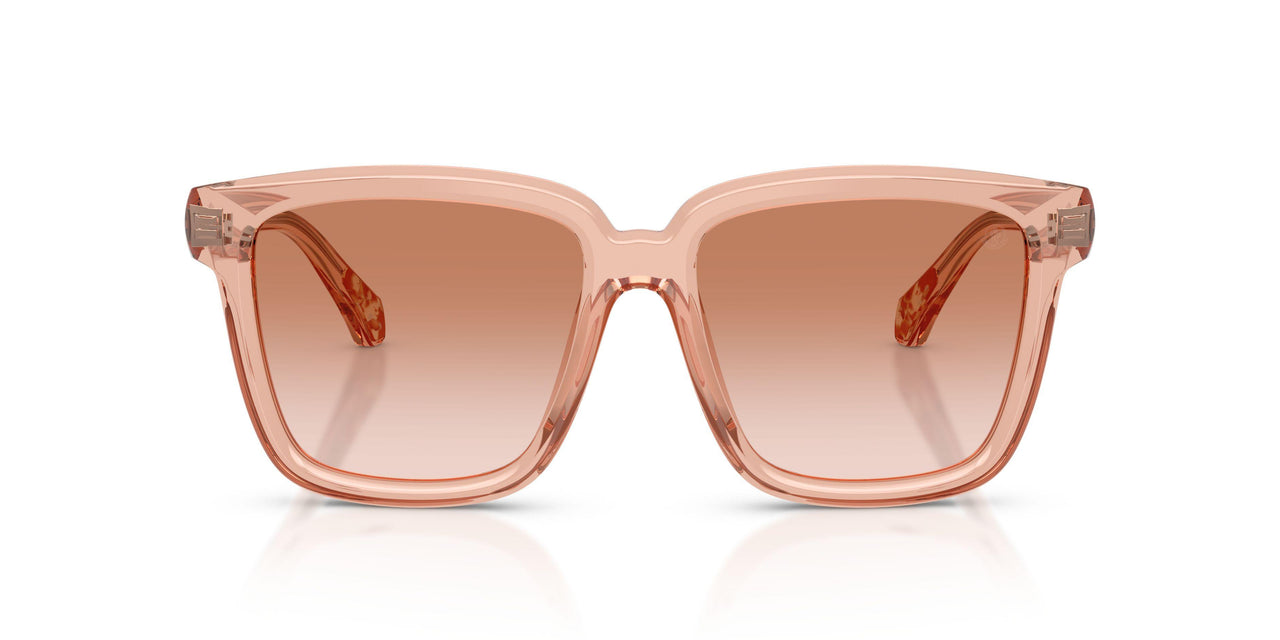 304513 - Pink - Gradient Light Brown