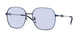 Diesel 1010D Sunglasses