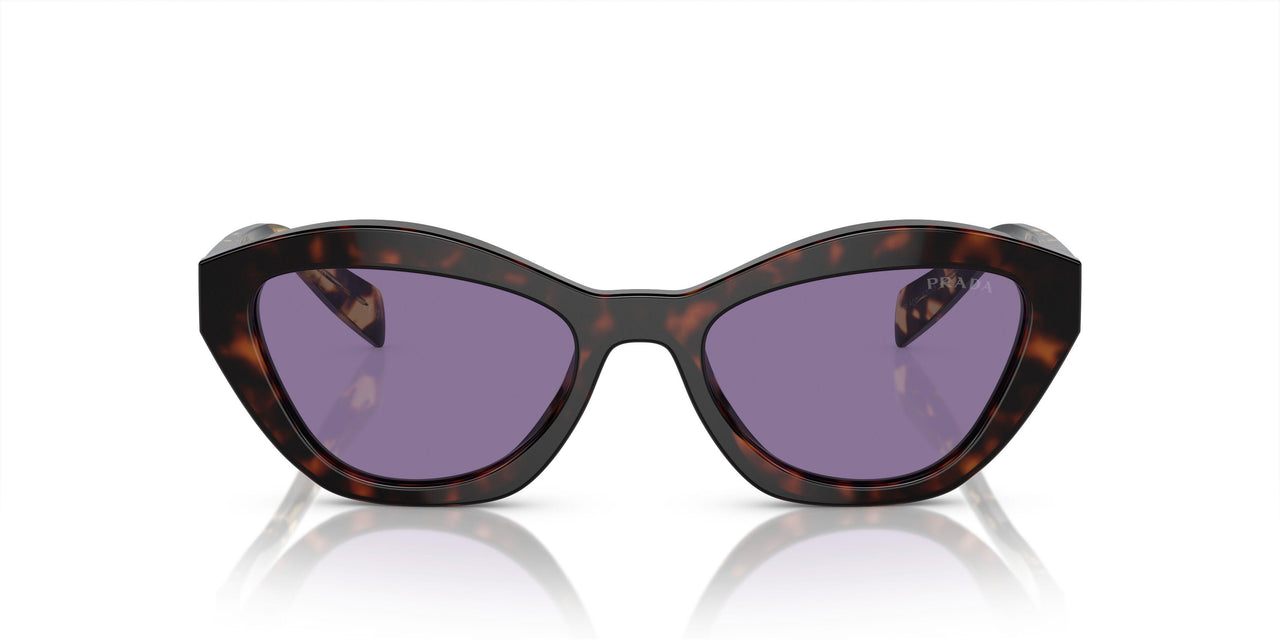 17N50B - Tortoise - Violet Mirror Internal Silver