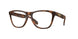 Oakley Frogskins Rx A 8137A Eyeglasses