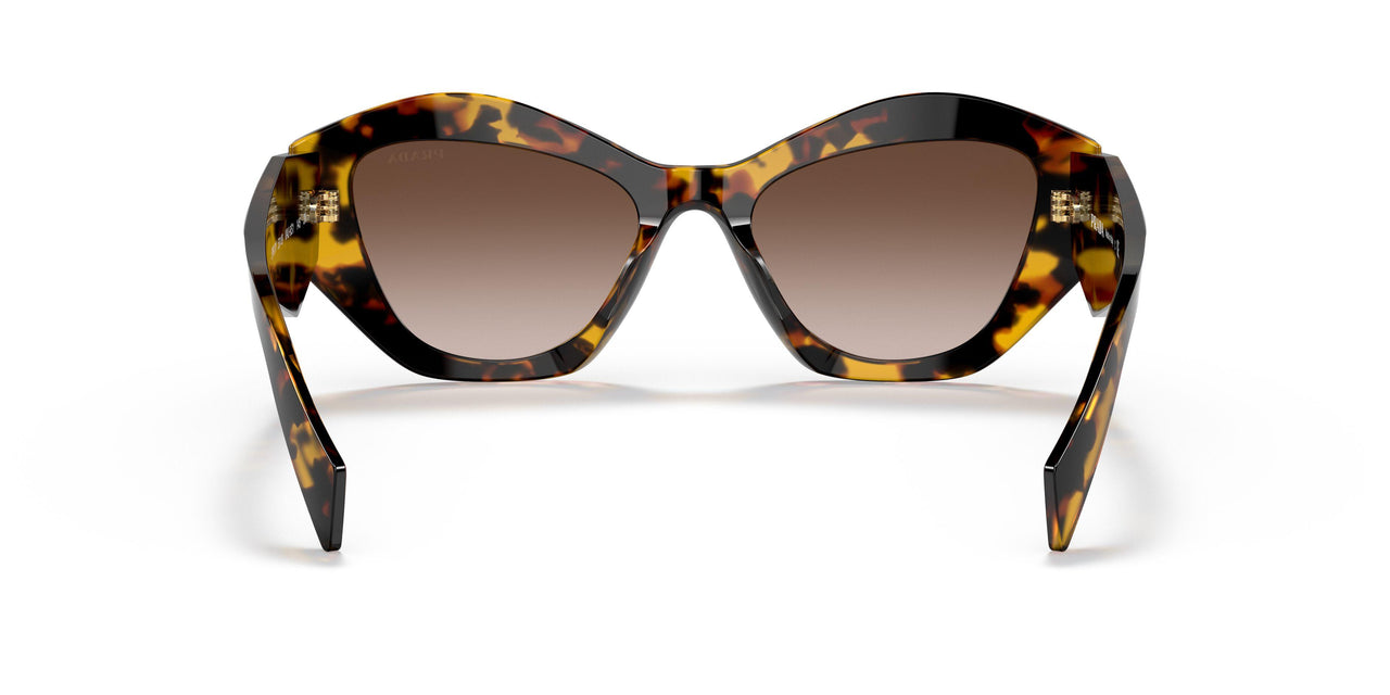VAU6S1 - Havana - Brown Gradient