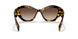 VAU6S1 - Havana - Brown Gradient