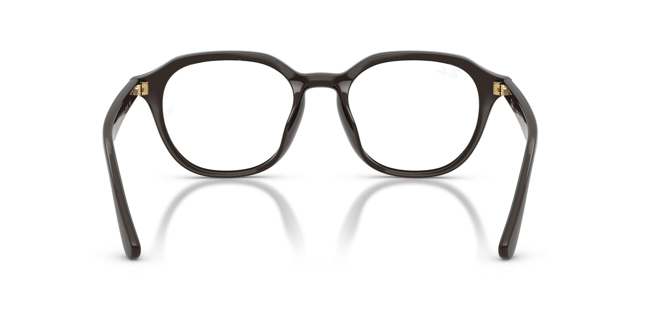 8493 - Brown