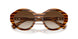 150813 - Brown - Brown Gradient