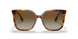 3316T5 - Havana - Gradient Brown Polar