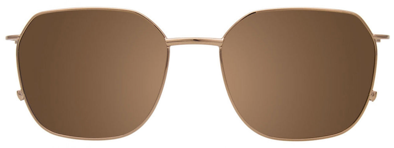 10 - Brown Tortoise & Gold