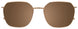 10 - Brown Tortoise & Gold
