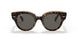 1292B1 - Havana - Dark Grey