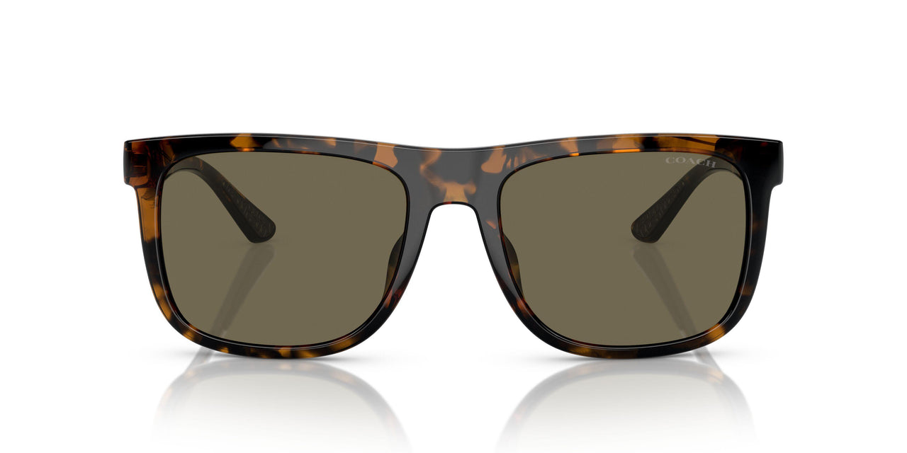 51203 - Tortoise - Brown Solid