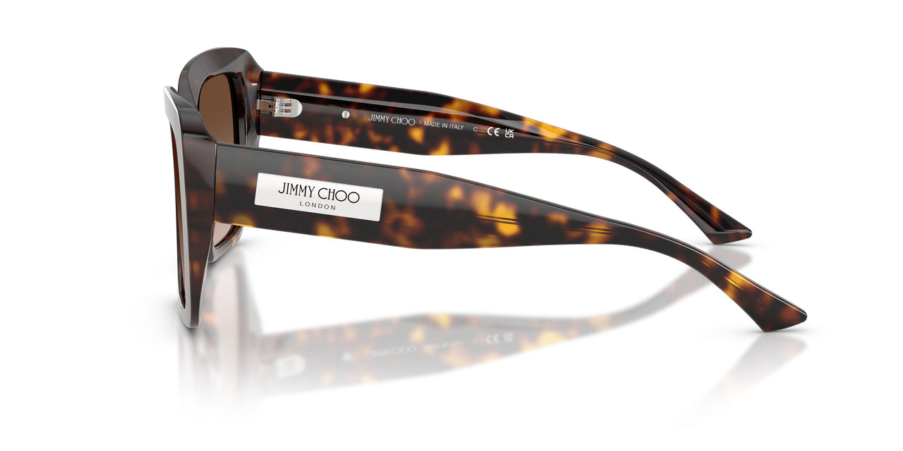 500213 - Tortoise - Brown Gradient