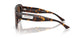 500213 - Tortoise - Brown Gradient