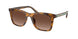 5120T5 - Tortoise - Brown Gradient Polar