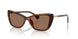 614973 - Tortoise - Brown