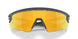 953103 - Grey - Prizm 24k Polarized