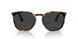 110248 - Tortoise - Polar Black