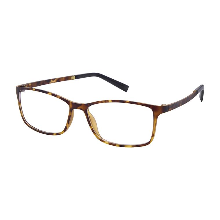 Aristar AR30752 Eyeglasses