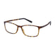 Aristar AR30752 Eyeglasses