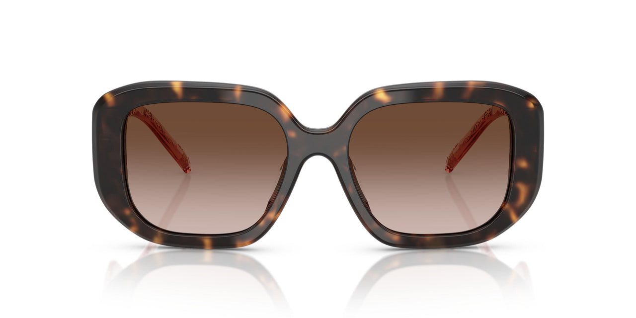 196413 - Tortoise - Gradient Brown