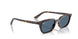 135980 - Tortoise - Dark Blue
