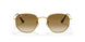 001/51 - Gold - Clear Gradient Brown