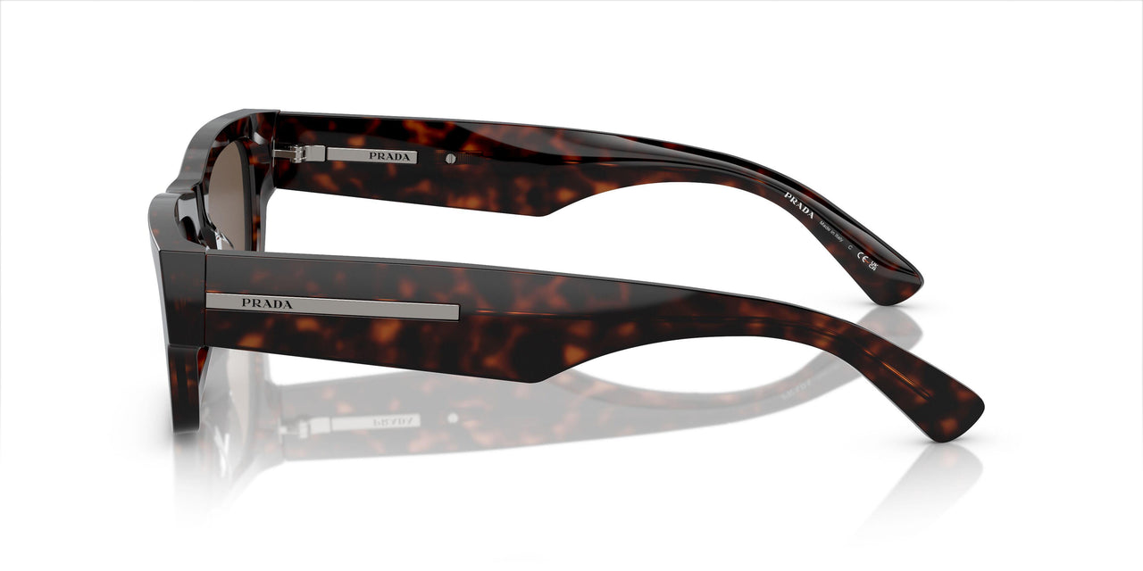 17N08T - Tortoise - Brown