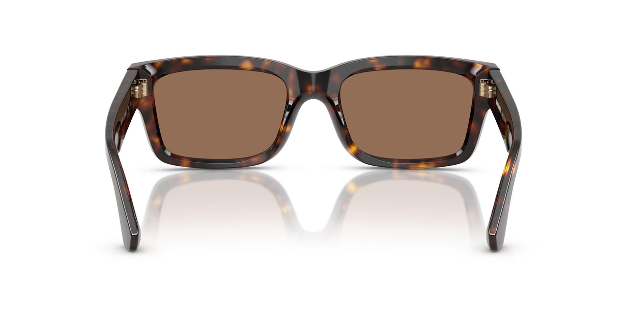 300273 - Brown - Dark Brown