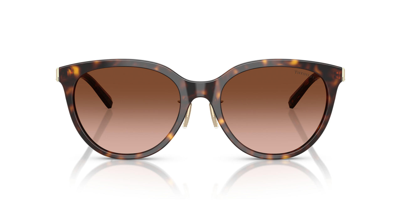80153B - Tortoise - Brown Gradient