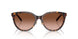 80153B - Tortoise - Brown Gradient