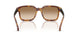 301189 - Tortoise - Light Brown Gradient Brown