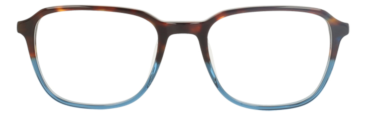TBL - Tortoise/Blue