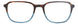 TBL - Tortoise/Blue