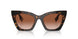 300213 - Brown - Brown Gradient