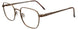 10 - Brown