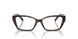8015 - Tortoise